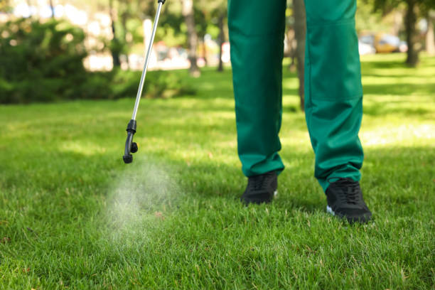 Best Commercial Pest Control Services  in Springdale, NC