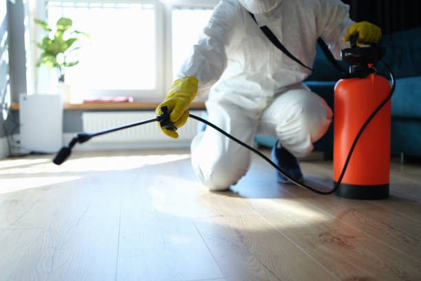 Best Best Pest Control Companies  in Springdale, NC